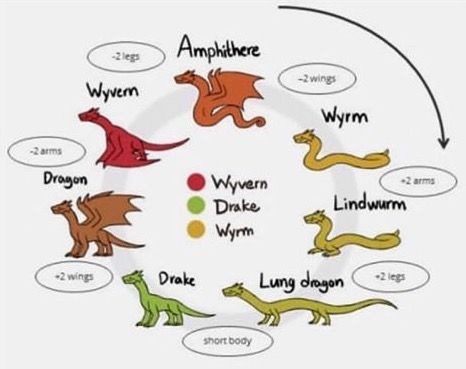 The different types of mythical creatures, dragon, Drake, when, wyvern Types Of Dragons, Creature Drawings, Mythological Creatures, Dragon Drawing, Mystical Creatures, Magical Creatures, Dragon Art, Creature Design, Creature Art