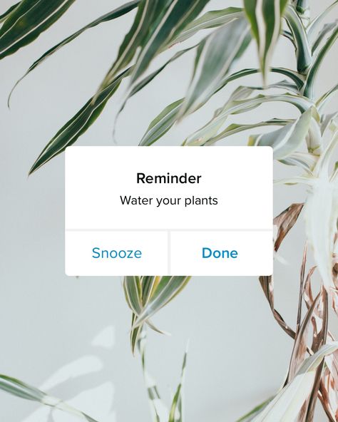 Phone Notification, Garden Section, Social Graphics, Portrait Graphic, Adobe Express, Plant Watering, Instagram Portrait, Promotional Design, Self Watering