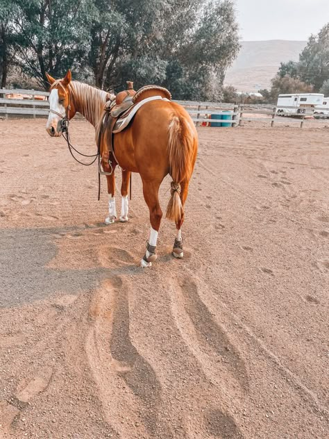 Horse Tack Western, Reining Horse Aesthetic, American Quarter Horse Aesthetic, Quarter Horse Barrel Racing, Wild West Horse Aesthetic, Reined Cow Horse, Ranch Horses, Ranch Horse, Foto Cowgirl