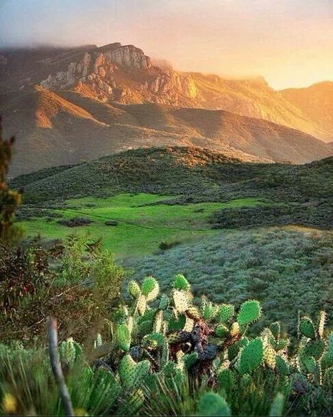 Newbury Park,  Ca. This is why I love it! Boney Mountain. Paradise Falls, Newbury Park, Cool Magazine, Ventura County, California Love, California Homes, Santa Monica, Home For Sale, The Great Outdoors