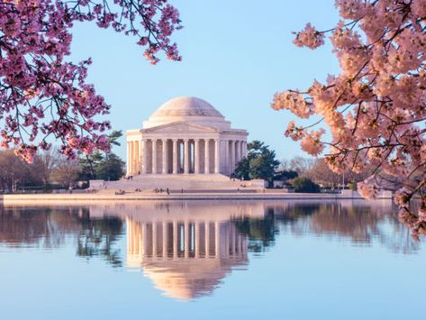 The best places to travel this April Washington Dc Photos, Visiting Washington Dc, Jefferson Memorial, Flatiron Building, Washington Monument, Porto Rico, National Mall, Ghost Tour, Thomas Jefferson