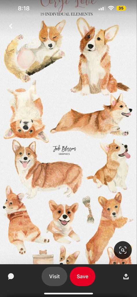 Small Dog Drawing, Corgi Watercolor, Corgi Illustration, Lavender Ideas, Watercolor Challenge, Dogs Watercolor, Dog Watercolor Painting, Corgi Drawing, Corgi Dogs