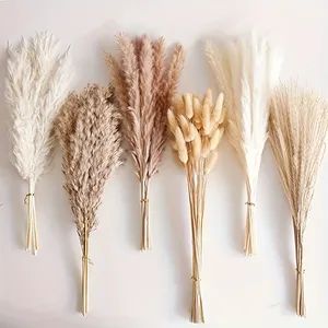 Temu | Explore the Latest Clothing, Beauty, Home, Jewelry & More Moon 2024, White Pampas, Grass Bouquet, Pampas Grass Bouquet, Dried Pampas, Pampas Grass Decor, Grass Wedding, Bunny Tails, Warm Colour Palette