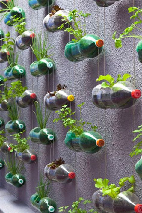 Garding Ideas Diy, Recycle Items, Eco Craft, Kebun Herbal, Diy Garden Landscaping, Tanaman Pot, Garden Magic, Vertical Vegetable Garden, نباتات منزلية