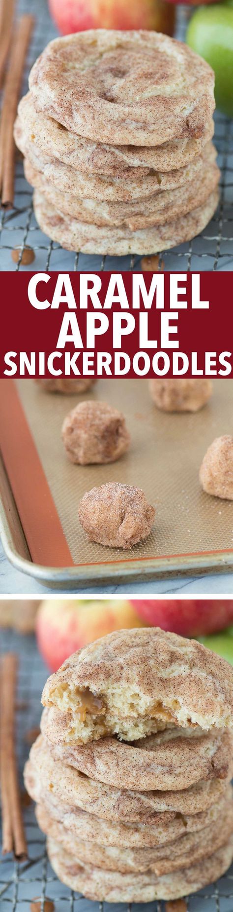 Caramel apple snickerdoodles - a fall twist on snickerdoodle cookies! These actually taste like caramel apple and remind me of those green caramel apple suckers! Apple Snickerdoodle, Caramel Apple Suckers, Caramel Bits, Snickerdoodle Cookies, Thanksgiving Desserts, Easy Cookie Recipes, Caramel Apple, Snickerdoodles, Fall Baking