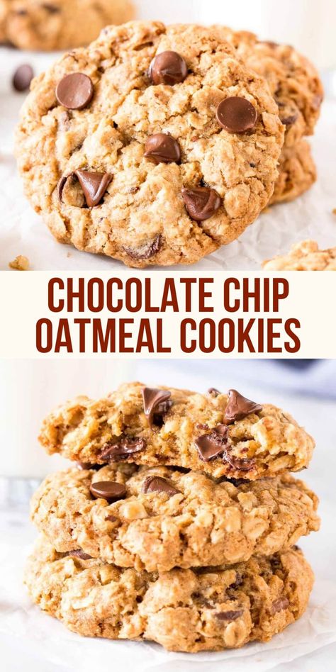 These soft and chewy oatmeal chocolate chip cookies are made with brown sugar, old fashioned oats, chopped walnuts & lots of chocolate chips for the perfect bakery-style cookie. You'll love how easy they are to make #oatmealchocolatechipcookies #chocolatechipcookies #oatmealcookies #easyrecipes #cookies #kids #chewy #easy #cookies #recipe from Just So Tasty Chewy Chocolate Chip Oatmeal Cookies, Chewy Oatmeal Chocolate Chip Cookies, Chocolate Chip Oatmeal Cookies, Oatmeal Chocolate Chip Cookie Recipe, Easy Sweets, Oatmeal Cookies Chewy, Easy Oatmeal, Oatmeal Chocolate Chip, Oatmeal Recipe