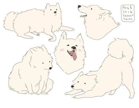 Hamotzi Samoyed Character Design, Sammy Savos Dogs, Hamotzi Dog, Samoyed Drawing, Dog Illustration Design, Sammy Savos, Dog Draw, Draw Dogs, Draw Animals