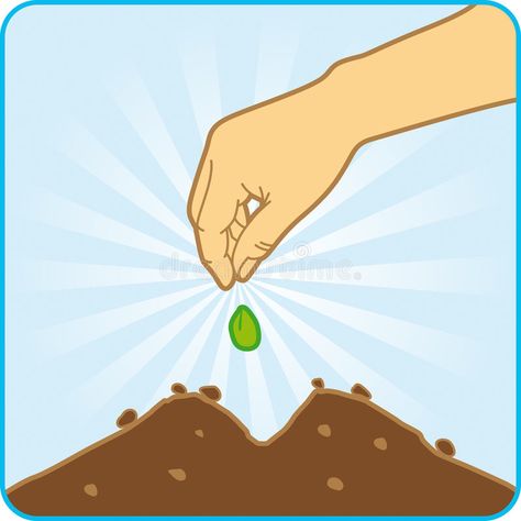 Planting Seeds Illustration, Soil Clipart, Ground Illustration, Seed Illustration, Preschool Alphabet Printables, Jack Cole, Seed Planter, Planting For Kids, Seed Art