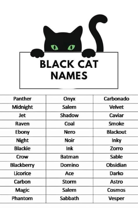 Black Panther Name, Cat Names Boy, Black Cat Personality, Black Cat Meaning, Black Cat Names, Cat Knowledge, Cat Symbolism, Warrior Cat Names, Cute Pet Names