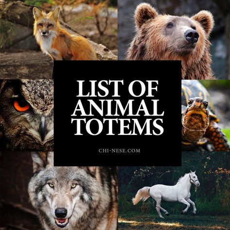 animal totems Animal Totems Spirit Guides, Totem Animals Meaning, Birth Totem Animals, Element Animals, Animal Totem Spirit Guides, Spiritual Signs, Totem Animals, Native American Totem, Wolf Totem