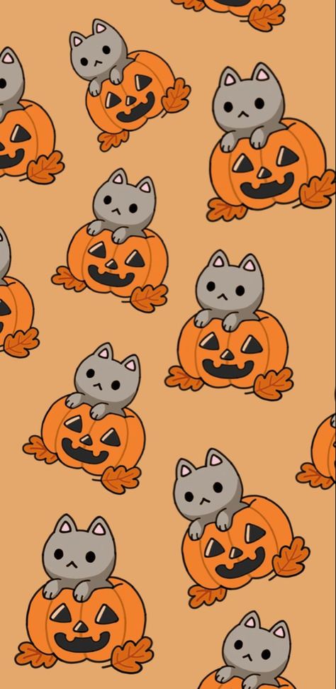 Fall Cat Aesthetic Wallpaper, Halloween Cat Wallpaper Aesthetic, Halloween Wapallper, Hallow Wallpapers Aesthetic, Cat Halloween Wallpaper Iphone, Halloween Wallpers Aesthetic Cute, Halloween Cat Iphone Wallpaper, Aesthetic Wallpaper Halloween Cute, Halloween Orange Aesthetic Wallpaper