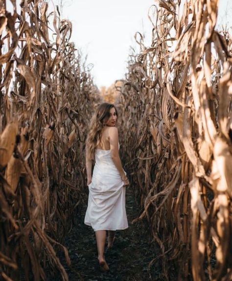 Halloween Cornfield Photoshoot, Fall Field Senior Pictures, Photoshoot Ideas Fall Outdoor, Witchy Boho Photoshoot, Artsy Fall Photoshoot, Fall Women Photoshoot, Fall Photoshoot Creative, Creative Fall Photoshoot Ideas, Photoshoot Ideas Outside Fall