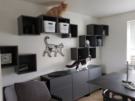 Ikea Cat Wall, Eket Inspiration, Us Cats, Ikea Cat, Ikea Eket, Crate Bookshelf, Cat Wall Shelves, Living With Cats, Cat House Diy