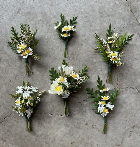 Mini Daisies White Daisy Boutonniere, Daisy Mix Bouquet, Yellow Daisies Wedding, Daisy Boutonniere Grooms, Daisy Corsage And Boutonniere, Chamomile Boutonniere, Chamomile Wedding Decor, White Wildflower Boutonniere, Daisy Wedding Arch