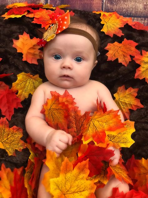 2 Month Fall Photoshoot, Thanksgiving 4 Month Old Pictures, 3 Month Thanksgiving Pictures, Fall Newborn Photo Ideas, Newborn Baby Fall Photoshoot, Fall Photos For Baby, Fall Pictures With Newborn, Newborn Halloween Photos, Fall Photoshoot Newborn