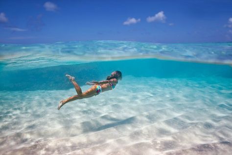 Places to swim in the worlds clearest water. Benefits Of Swimming, Swimming Benefits, Bathroom Blue, Jacques Cousteau, Water Pictures, Six Feet Under, Underwater Photography, In The Ocean, Catamaran