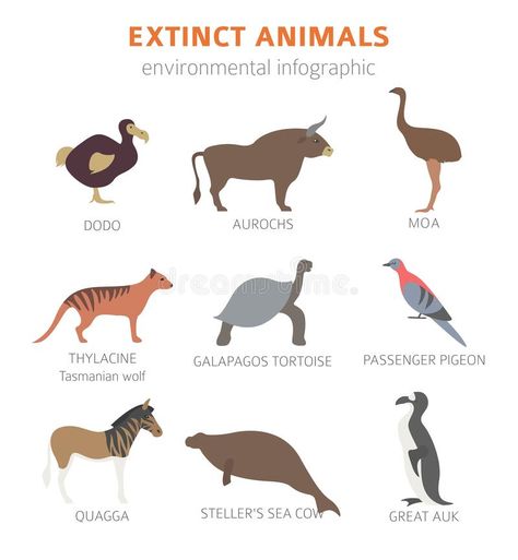 Extinct Animals Art, Extinct Animals Drawing, Endangered Animals Infographic, Steller's Sea Cow, Animal Extinction, Animal Knowledge, Great Auk, Animal Infographic, Extinct Birds