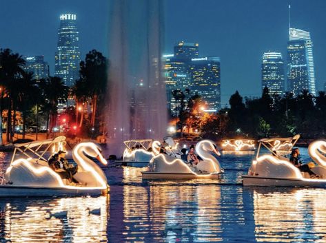 Lakes in Minneapolis, St. Paul gain a flock of swan boat rentals. It’s a-boat time. Swan Boat, Echo Park Lake, Downtown Long Beach, Pedal Boats, Los Angeles Aesthetic, Pedal Boat, Boat Party, Echo Park, Boat Rental