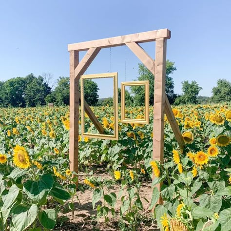 Pumpkin Patch Business, Agritourism Farms, Orchard Ideas, Farm Stand Ideas, Sunflower Festival, Pumpkin Patch Ideas, Sunflower Ideas, Pumpkin Patch Farm, Fall Festival Ideas