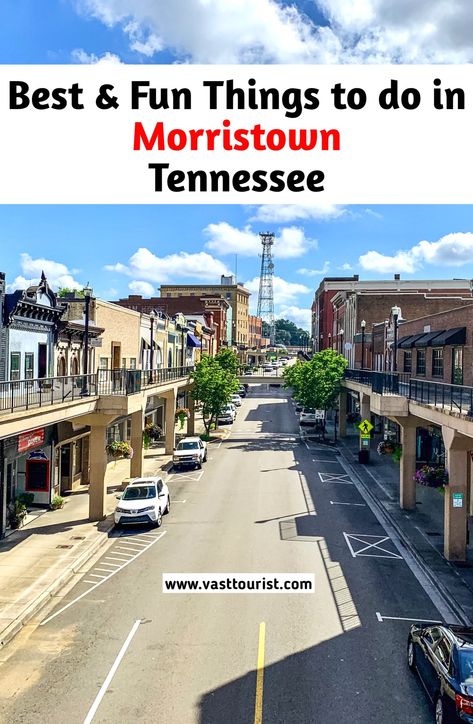 Best and Fun things to do in Morristown Tennessee
Fun places to visit in Morristown Tennessee
What to do in Morristown Tennessee
Morristown best attractions Tennessee Adventures, Morristown Tennessee, Vacation Usa, American Travel, White Pine, Party City, Tourist Destinations, Places To Eat, Us Travel