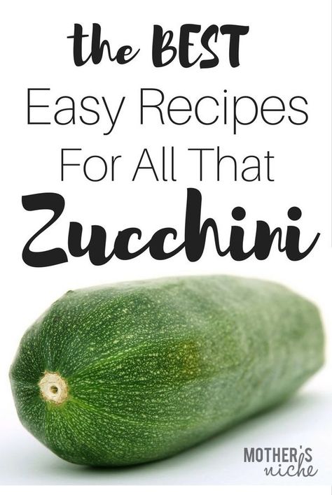 Large Zucchini Recipes Baking, What To Do With Really Big Zucchini, Cubed Zucchini Recipe, Cooking With Zucchini, Sliced Zucchini Recipes Baked, What Can You Make With Zucchini, What To Make With Zucchini Recipes, Overgrown Zucchini Recipe, Fish And Zucchini Recipes