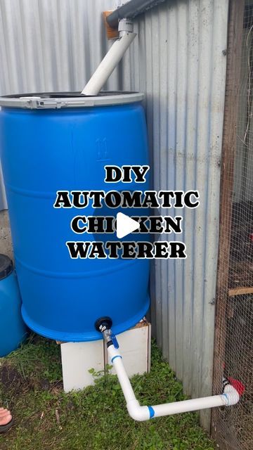 Chicken Water Feeder Ideas, Rain Water Collection System For Chickens, Chicken Feeder And Waterers Diy, Self Watering Chicken Waterer, Diy Chicken Coop Watering System, Chicken Water And Feeder Ideas, Poultry Watering System, Rainwater Chicken Waterer, Chicken Tractor Watering System