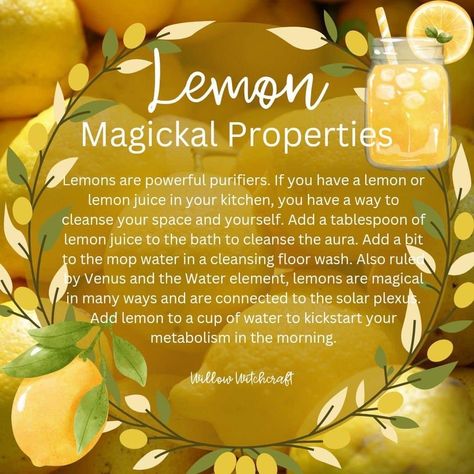 Witchy Ingredients, Witch's Apothecary, Witchy Recipes, Magical Herbs Witchcraft, Witchy Diy, Magickal Correspondences, Kitchen Witchcraft, Kitchen Magick, Kitchen Witch Recipes