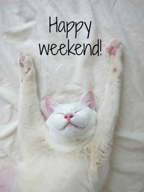 100 Happy Weekend Quotes & Sayings To Share Positivity Notes, Weekend Images, Weekend Greetings, Happy Weekend Quotes, Happy Week End, Weekday Quotes, Weekend Quotes, Weekend Reading, Happy Week