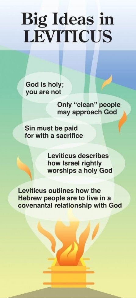 Big Ideas in Leviticus Job Bible, Quick View Bible, Bible Study Help, Online Bible Study, Bible Study Notebook, Bible History, Bible Study Tools, Bible Facts, Life Quotes Love