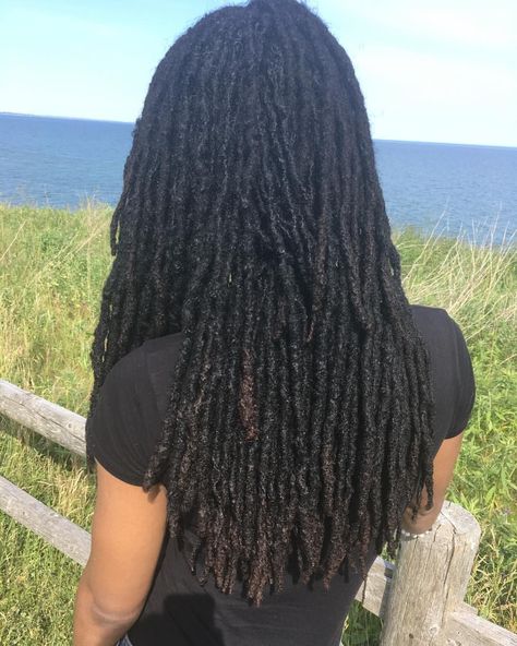 Long Fluffy Locs, Pencil Sized Locs, Mid Back Locs, Locs Women, Healthy Locs, Loc Goals, Leda Muir, Long Locs, Long Dreads