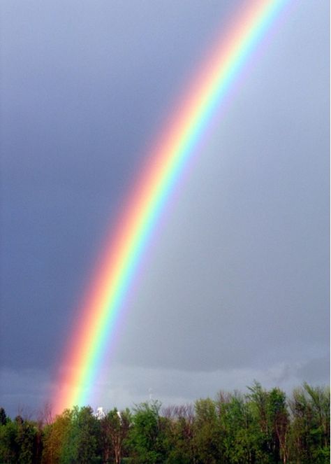 Rainbows In The Sky, Rainbow Rain, Rainbow Connection, Wallpaper Disney, God's Promise, Double Rainbow, Rainbow Sky, Nature's Bounty, Love Rainbow