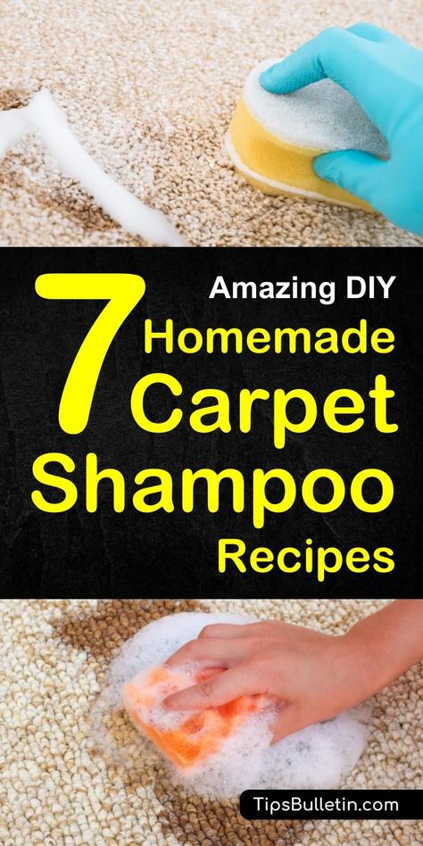 7 DIY Homemade Carpet Shampoo Recipes - including DIY recipes of natural carpet cleaner for light-colored, carpet cleaning machine solution, a homemade citrus-enzyme cleaner, a pets stain odor remover spray and hydrogen peroxide baking soda carpet soak.#carpetshampoo #cleaner #homemade Homemade Carpet Shampoo, Cleaning Carpets, Baking Soda On Carpet, Carpet Diy, Clean Baking Pans, Shampoo Recipe, Carpet Cleaning Solution, Natural Carpet, Carpet Cleaning Hacks