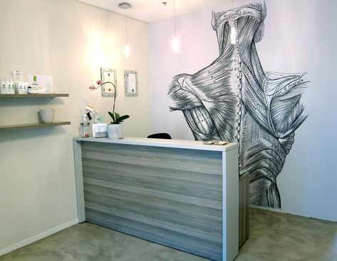 Portfolio | Cara Saven Wall Design Physiotherapy Clinic Design, Physio Clinic Interior Design, Phisioterapy Design, Physiotherapy Clinic Interior Design, Physiotherapy Room, Chiropractic Office Decor, Anatomy Wallpaper, Chiropractic Office Design, Massage Room Design