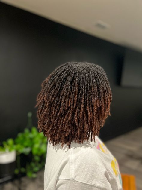 Brown Ombre Locs Black Women, Chocolate Brown Microlocs, Mini Locs Black Women, Micro Locs 4c Hair, Loc Dye Ideas Dark Skin, Colored Microlocs Black Women, Small Dreads Black Women, Brown Microlocs, Medium Microlocs