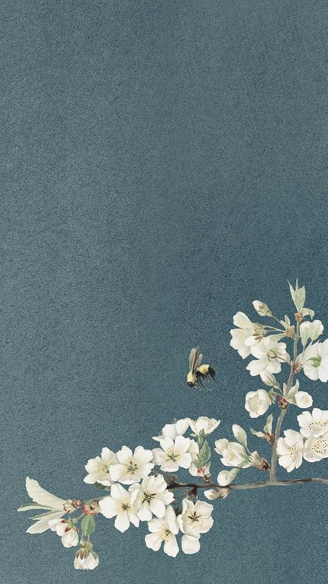 Vintage Iphone Wallpaper, Spring Iphone Wallpaper, Vintage Floral Backgrounds, Blue Flower Wallpaper, Floral Wallpaper Iphone, Vintage Flowers Wallpaper, Vintage Floral Wallpapers, Watercolor Iphone, Daisy Painting