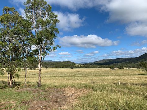 Landscape Reference Photos, Cloud Reference, Dan Scott, Sunny Landscape, Landscape Reference, Simple Subject, Top Paintings, Reference Photos For Artists, Dark Tree