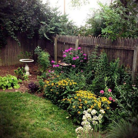 kentucky-native-plant-bed Native Plant Landscape, Plants For Beginners, Florida Native Plants, Florida Landscaping, Black Thumb, Native Plant Gardening, Australian Native Plants, Dry Creek, Pollinator Garden