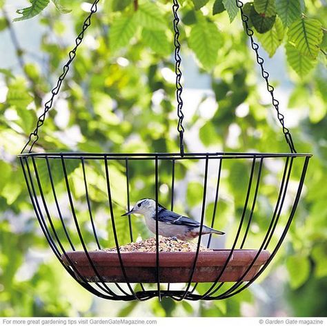 Do you love feeding birds? Making DIY crafts that are both fun & functional? Here are 20 fanciful DIY bird feeders to pep up your yard & fill up the birds. Homemade Bird Feeders, Bird House Feeder, Bird House Kits, Diy Bird Feeder, Diy Birds, Garden Yard Ideas, Backyard Birds, Bird Garden, Garden Gates