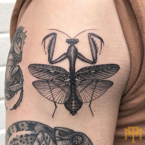 Bug With Wings Tattoo, Bug Neck Tattoo, Black Beetle Tattoo, Beetle Hand Tattoo, Knee Bug Tattoo, Mantis Tattoo Design, Bug Tattoo Design, Bugs Tattoo, Bug Tattoo Ideas