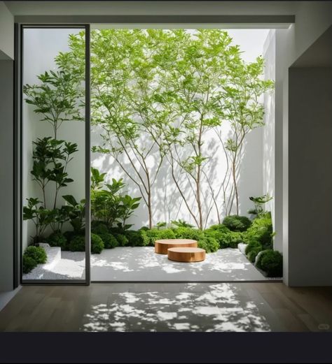 Japandi Courtyard, Indoor Garden Architecture, Small Indoor Courtyard, Indoor Courtyard Garden, Small Atrium, Japandi Garden, Interior Modern House, Internal Garden, Garden Atrium