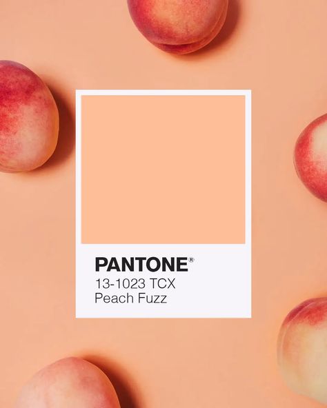 Peach Fuzz è il colore Pantone dell’anno 2024 Peach Colored Nails, Pantone Orange, Peach Color Palettes, Pantone 2024, Coral Colour Palette, Color Durazno, Orange Color Palette, Modern Organic Design, Orange Color Schemes