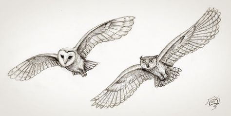 Flight Drawing, Movie Embroidery, Barn Owl Tattoo, Labyrinth Tattoo, Animal Design Tattoo, Owl Tattoo Drawings, Owl Flying, Owl Sketch, Fly Drawing