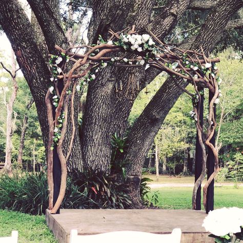 Woodland Forest Wedding  - Cypress Creek Event Venue Woodland Forest Wedding, Enchanted Forest Wedding Theme, Redwood Forest Wedding, Lotr Wedding, Wedding Woodland, Forest Theme Wedding, Enchanted Forest Wedding, Viking Wedding, Woodsy Wedding