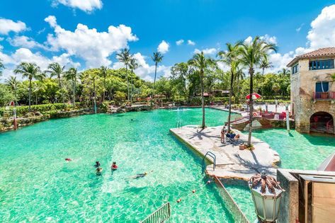 Secret Florida: 10 Places You Never Knew You Needed to See Miami Weekend, Miami Holiday, Beach Celebration, Texas Spring, Things To Do In Miami, Miami Vacation, Miami Orlando, Couples Travel, Usa Roadtrip