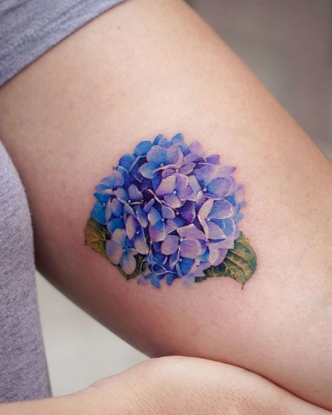 Seulki Park | Blue Hydrangea🩵 🇺🇸 Based in LA @vismstudio 📧 abii@vismstudio.com #hydrangea #hydrangeatattoo #losangelestattoo #californiatattoo… | Instagram Blue Hydrangea Tattoo, Hydrangea Tattoo, Mom Daughter Tattoos, California Tattoo, La Tattoo, Faith Tattoo, Bow Tattoo, Daughter Tattoos, Sleeve Ideas