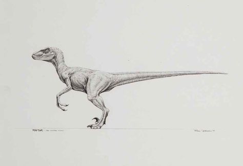 Jurassic Park Velociraptor, Jurassic Park Tattoo, Jurassic Park The Lost World, Dinosaur Sketch, Dinosaur Tattoos, Outline Tattoo, Lost World, Geniale Tattoos, The Lost World