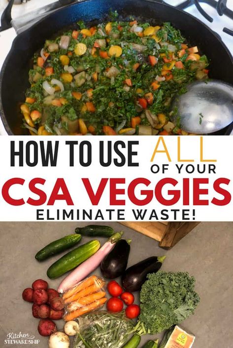 Great tips for cooking when you are part of a CSA. What to preserve, what to eat right away and what to share. #healthyeating #vegetables #seasonaleating Csa Box Ideas, Misfit Market, Misfits Market, Easy Meal Planning, Seasonal Veggies, Vegetable Salads, Csa Box, Veggie Ideas, Healthy Breakfast Snacks