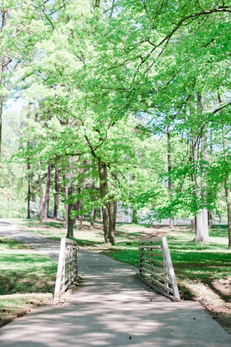 High Point Nc, Take A Hike, Get Outdoors, Pine Forest, Spring Day, High Point, Natural Environment, Lake View, Public Art