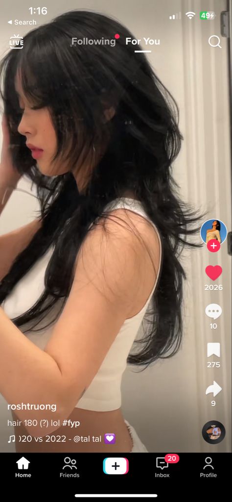 Asian Long Shag Haircut, Long Hush Haircut With Curtain Bangs, Hershey Haircut Long, Haircut Asian Women Long Hair, Long Soft Wolfcut, Hime Hushcut, Wolf Cut Prom Hair, Wolfcut Asian Hair, Layered Hime Haircut Long