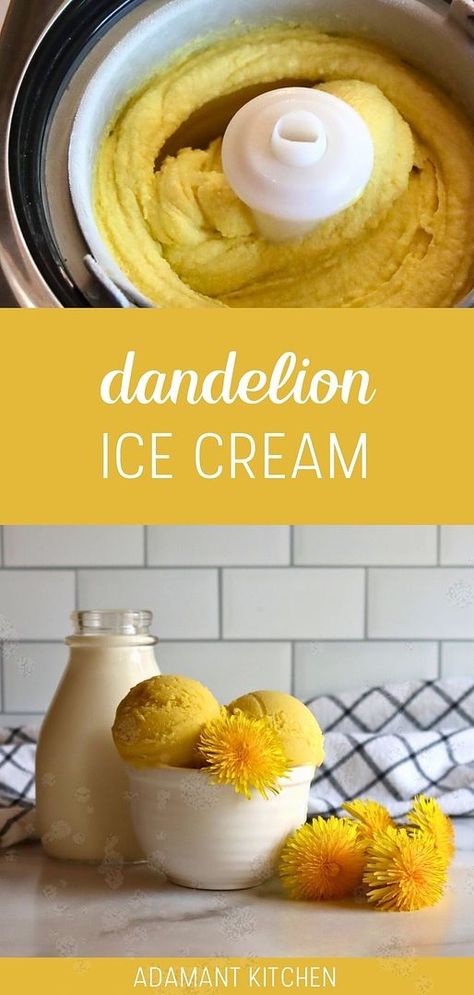 Dandelion Ice Cream, Summer Sweets Recipes, Dandelion Flower Recipe, Dandelion Cookies Recipe, Recipes With Flowers, Fried Dandelion Flowers, Dandelion Recipes Food, Herbal Recipes Food, Dandelion Leaves Recipe